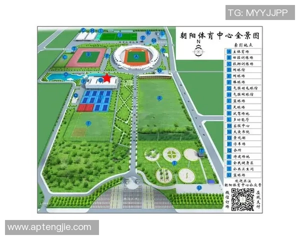 深度分析北京网球队的运营策略与市场发展路径
