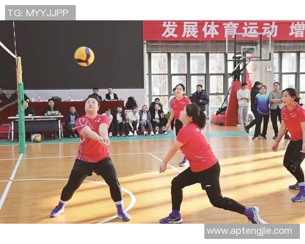 排球巨献：探秘成都排球队的心理素质