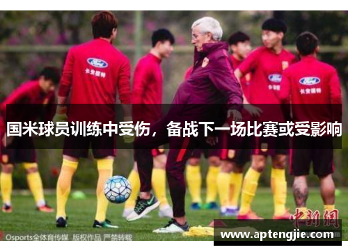 国米球员训练中受伤，备战下一场比赛或受影响