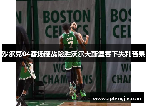 沙尔克04客场硬战险胜沃尔夫斯堡吞下失利苦果