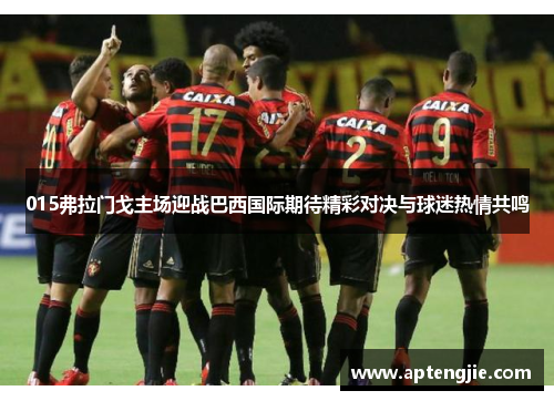 015弗拉门戈主场迎战巴西国际期待精彩对决与球迷热情共鸣