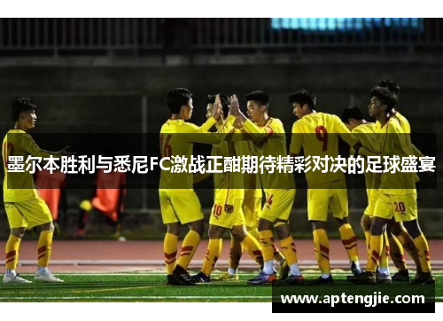 墨尔本胜利与悉尼FC激战正酣期待精彩对决的足球盛宴