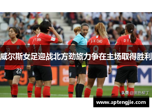 威尔斯女足迎战北方劲旅力争在主场取得胜利