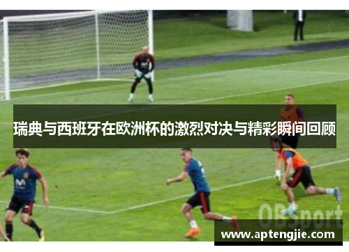 瑞典与西班牙在欧洲杯的激烈对决与精彩瞬间回顾