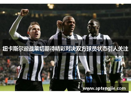纽卡斯尔迎战莱切期待精彩对决双方球员状态引人关注